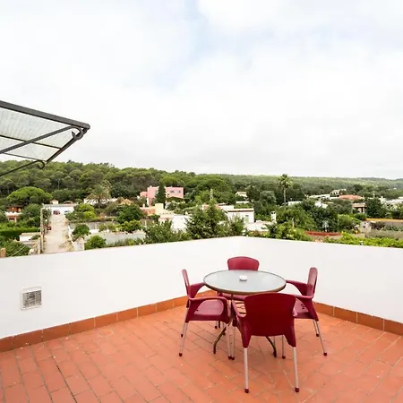 Nomadas Vejer de la Frontera